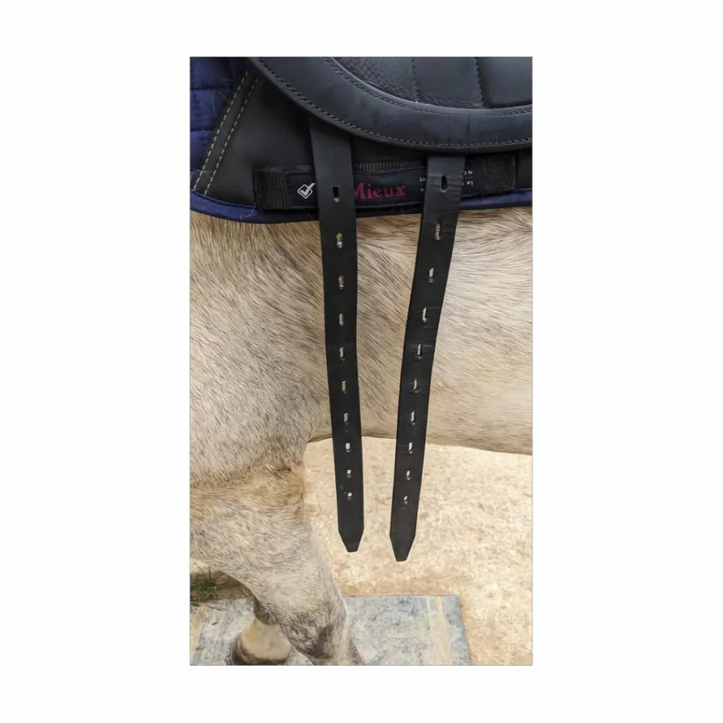 Equipe Selles De Dressage>Selle de dressage Kalifornia 17.5 2023
