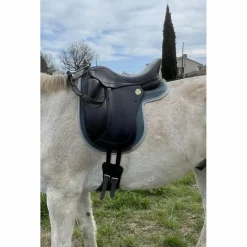 Jean-Luc Maurel Selles De Dressage><noscript><img width=