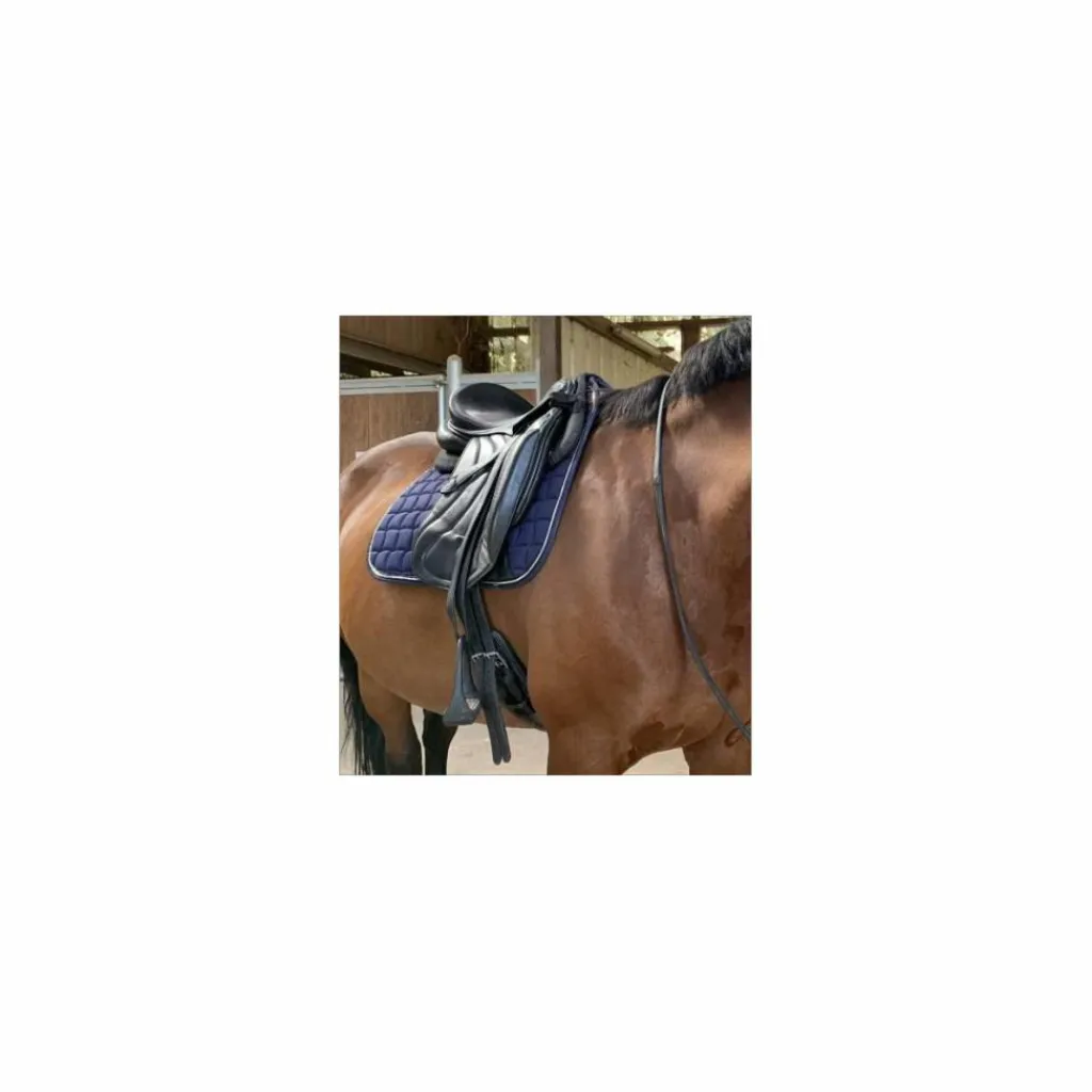 Eric Thomas Selles De Dressage>Selle de dressage Éric Thomas