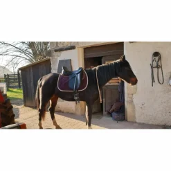 Selle de dressage maestoso*Stubben Sale