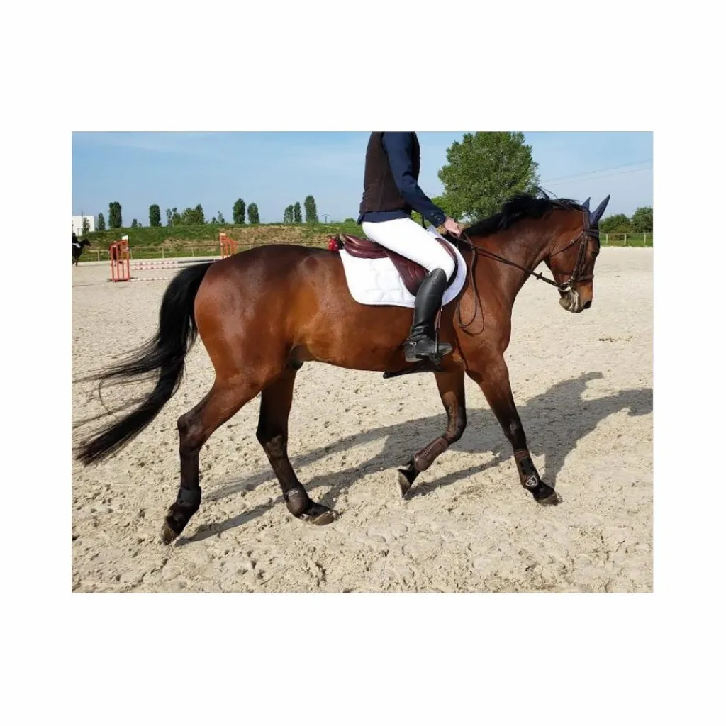 Selle Biarritz S – 2019 – 18" / Quartiers 3A – Parfait État*Devoucoux Discount