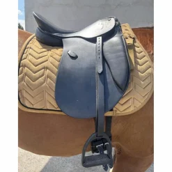 Henri de Rivel Selles De Dressage>selle dressage