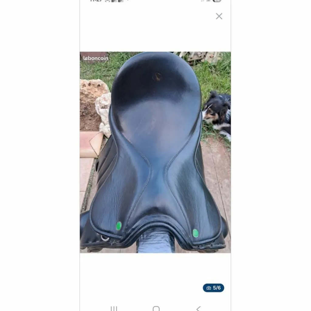 Spanaldi Selles De Dressage>Selle dressage