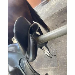 Antares Selles De Dressage><noscript><img width=