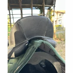 Antares Selles De Dressage><noscript><img width=