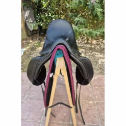 Antares Selles De Dressage><noscript><img width=