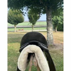 Belloir Selles De Dressage><noscript><img width=