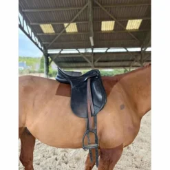 Kieffer Selles De Dressage><noscript><img width=