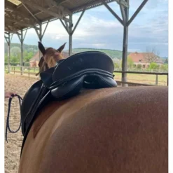 Kieffer Selles De Dressage><noscript><img width=
