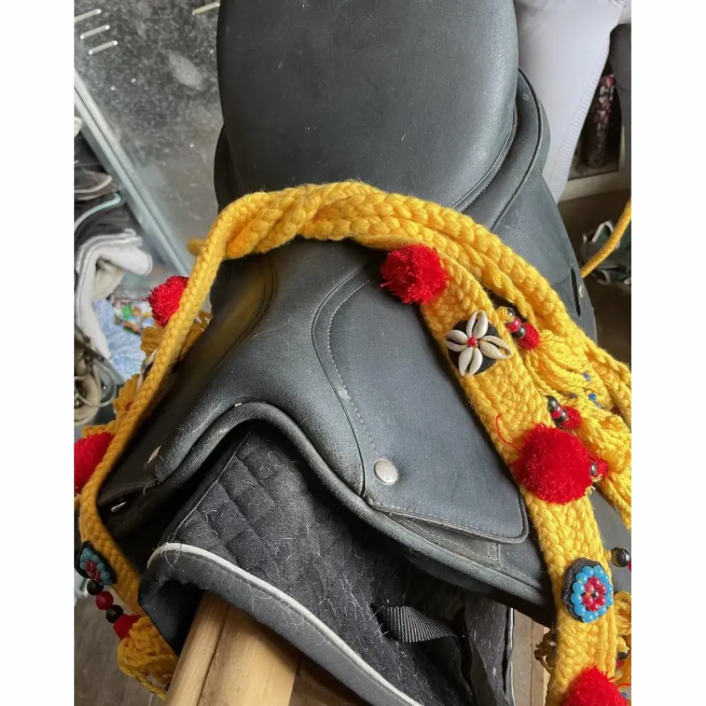 Selle Dressage ISABELLE WERTH*Wintec New