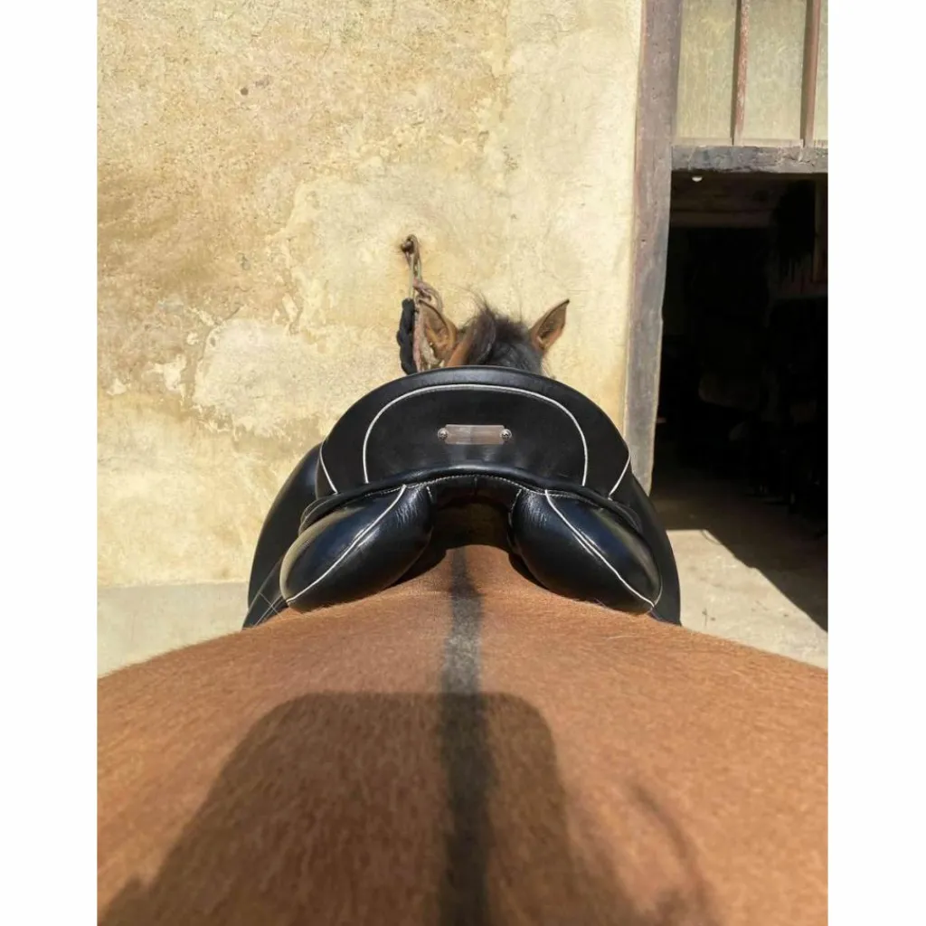 Zaldi Selles De Dressage>Selle dressage