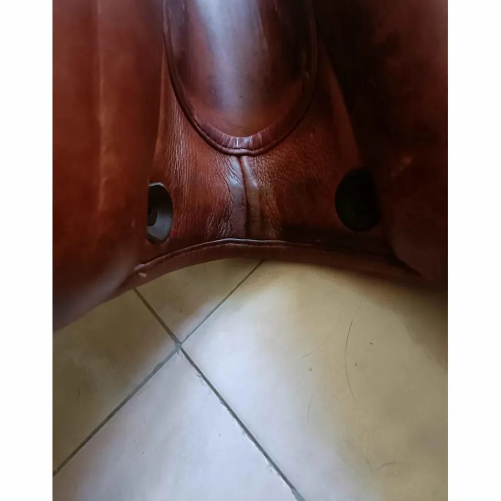 selle fitting cross 17.5*Eric Thomas Discount
