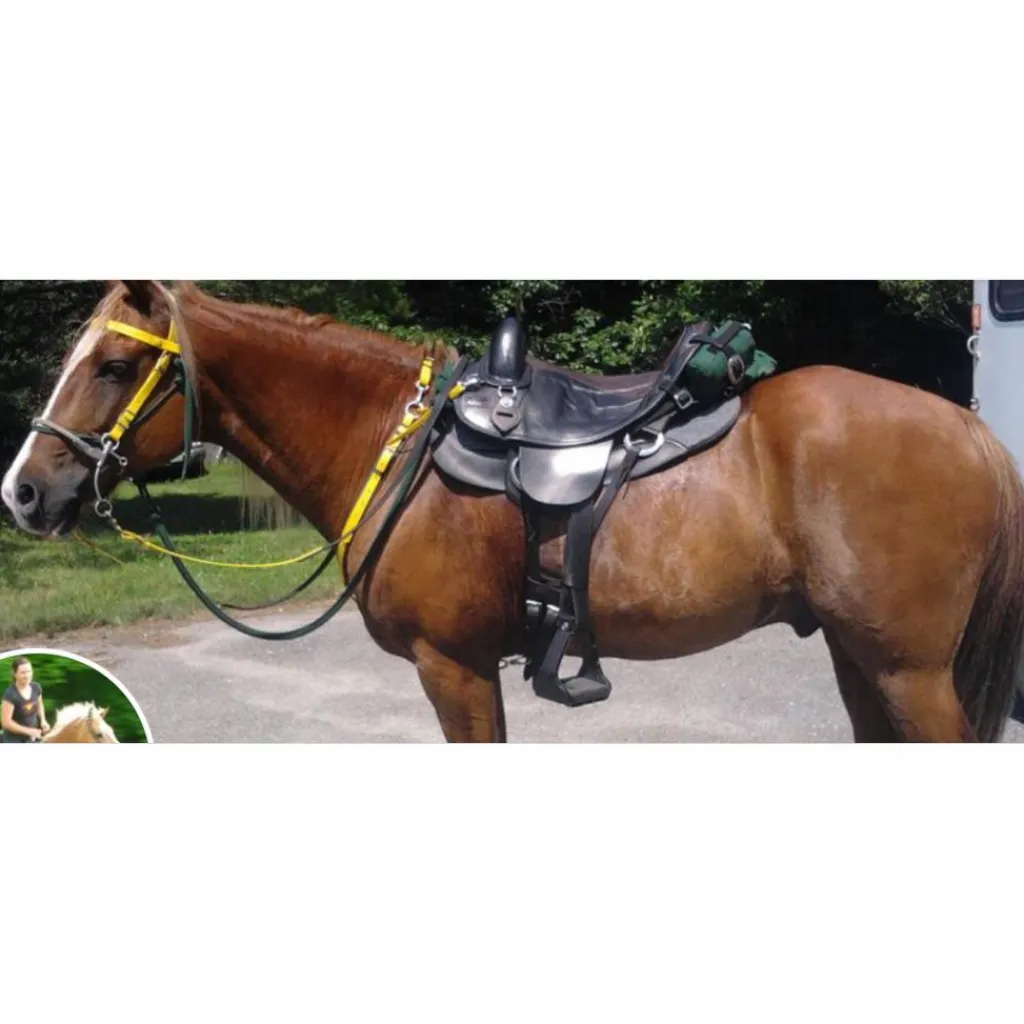- Marque inconnue - Autres Selles (Amazone, Barefoot, Australienne...)>Selle EZ fit en cuir sans arcon + accessoires