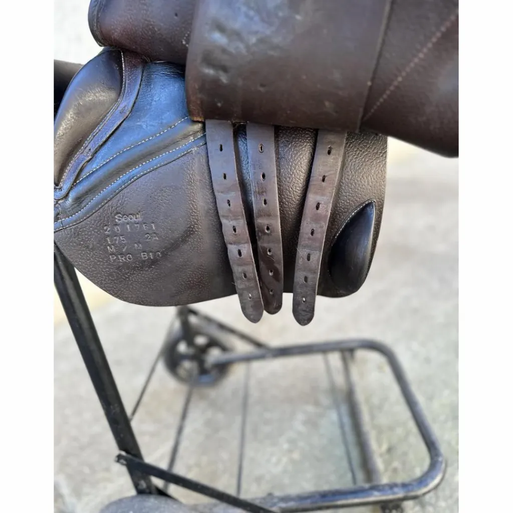 Forestier Selles Mixtes>Selle