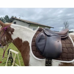 Forestier Selles D'Obstacle>selle