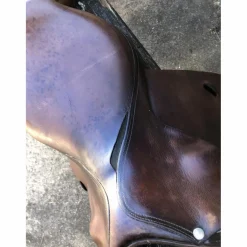 Forestier Selles Mixtes><noscript><img width=