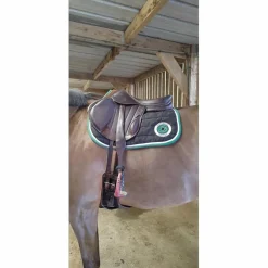 Forestier Selles Mixtes>Selle