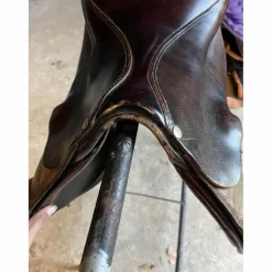 Forestier Selles Mixtes>selle