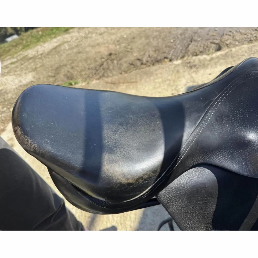 Selle Segonzac*Forestier Sale