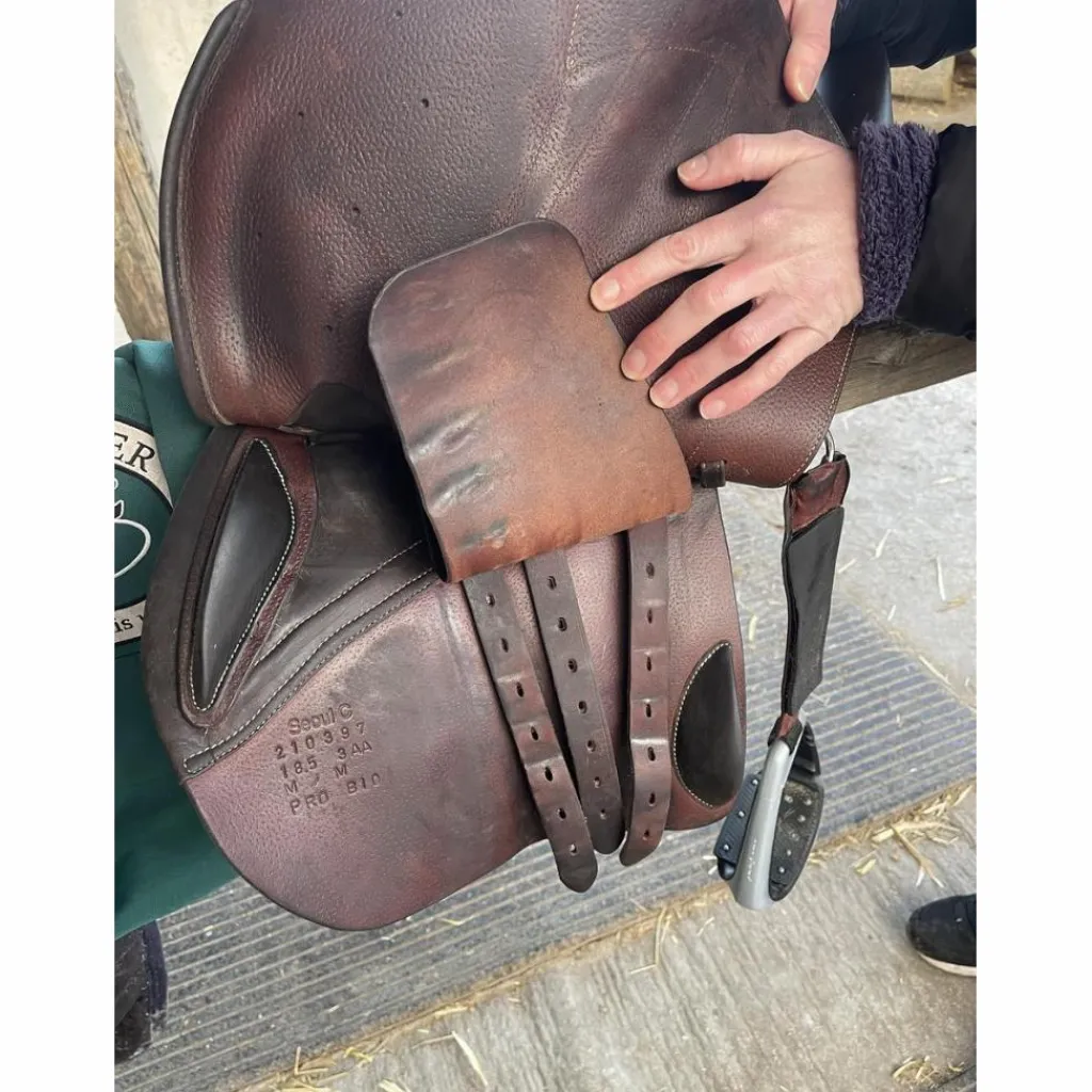 Forestier Selles D'Obstacle>Selle Séoul