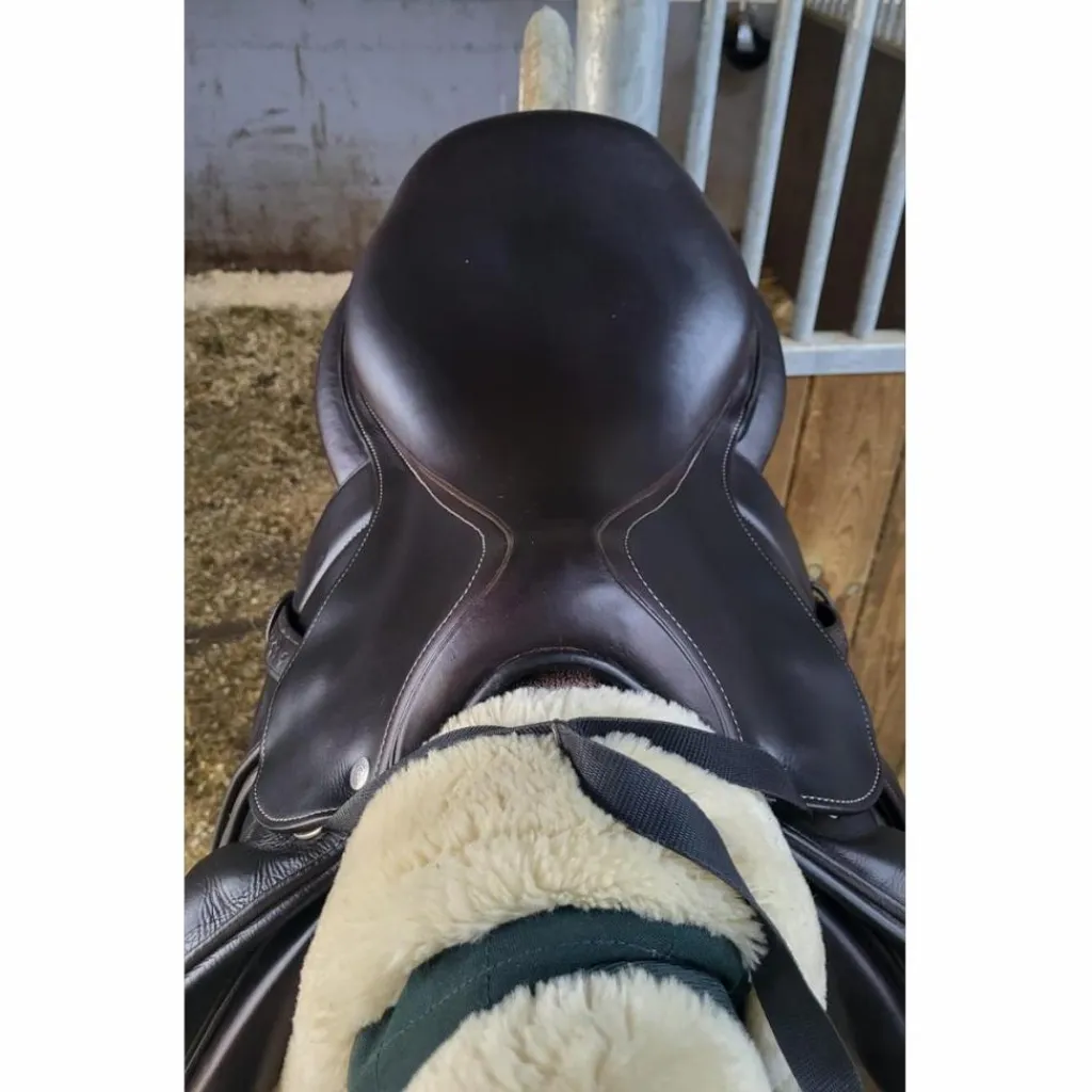 Selle Séoul*Forestier Hot