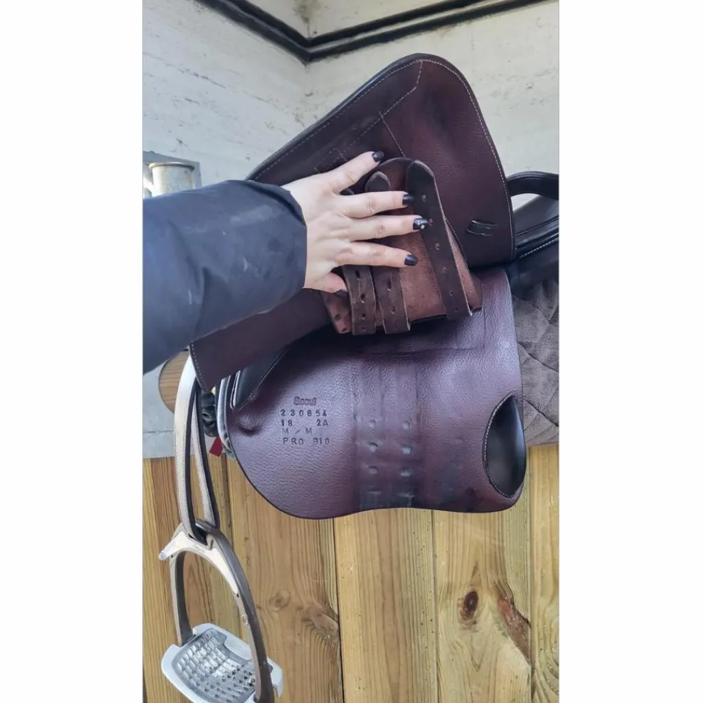 Selle Séoul*Forestier Hot