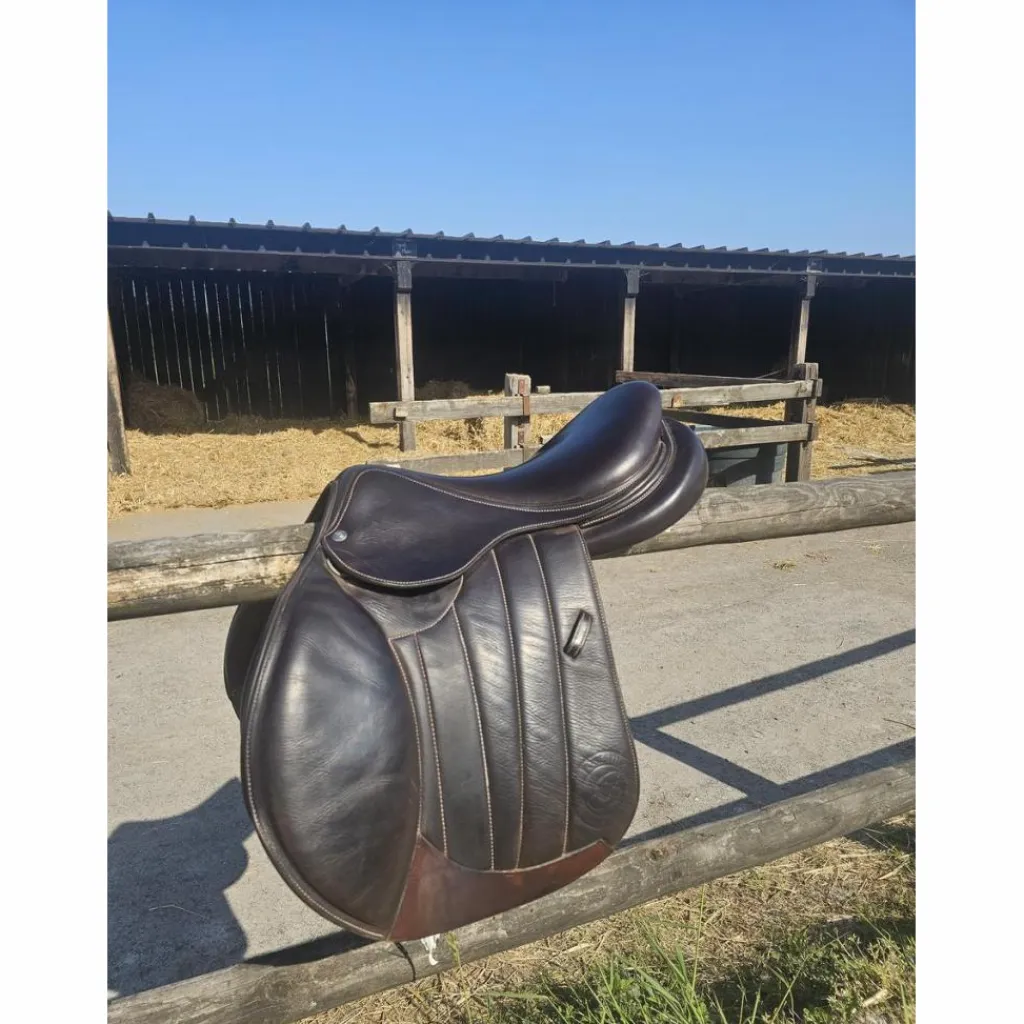 Selle Séoul*Forestier New