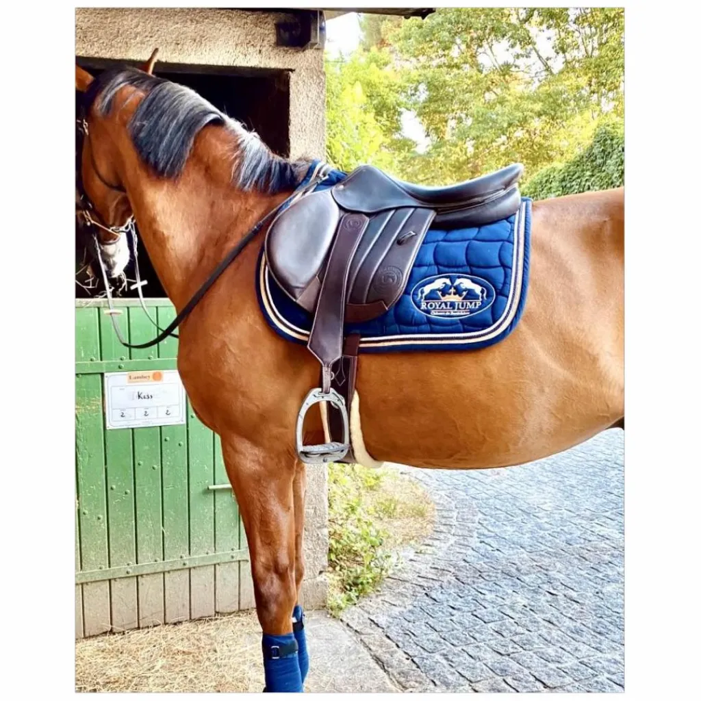 Forestier Selles D'Obstacle>SELLE SÉOUL 2024
