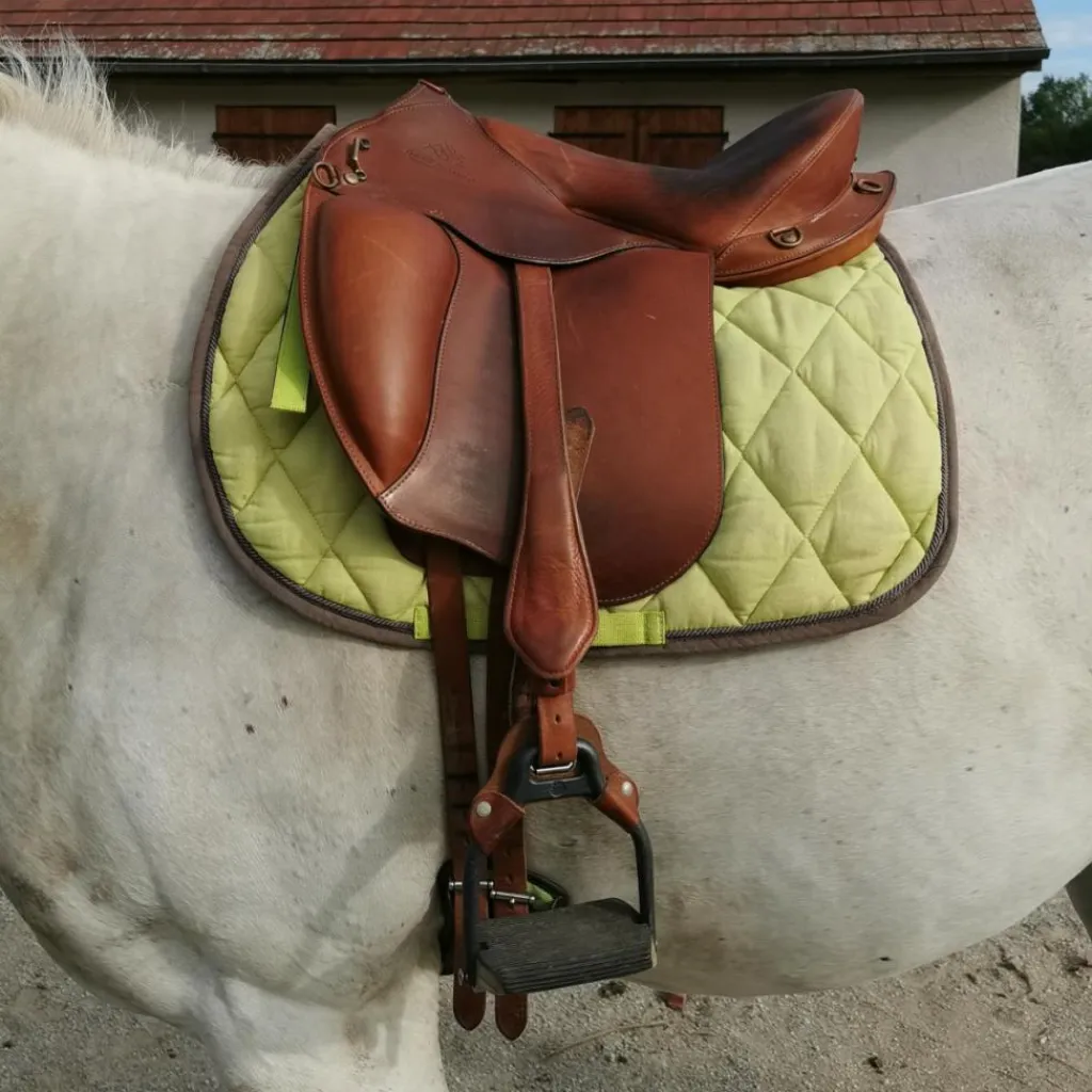Selle*Gaston Mercier Outlet