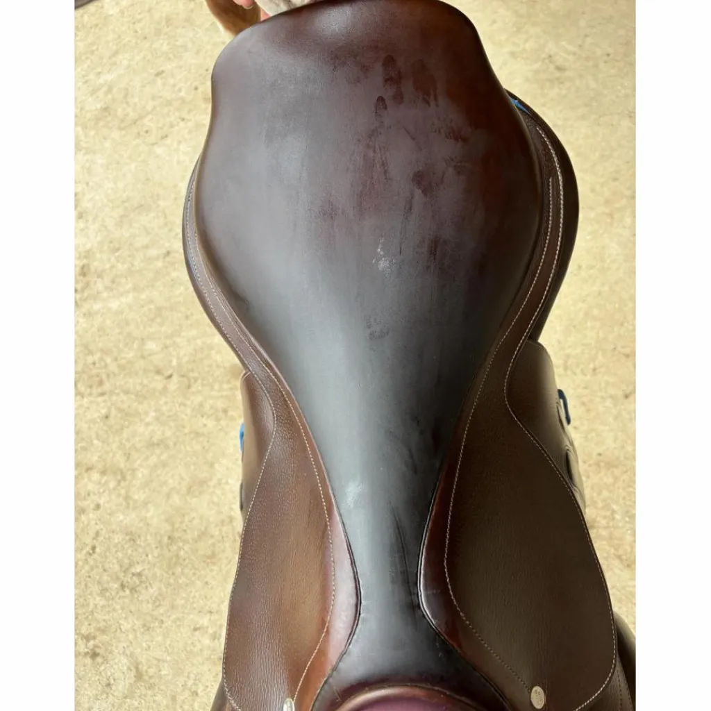 Selle*GBS Online