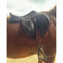 Selle*GBS Online