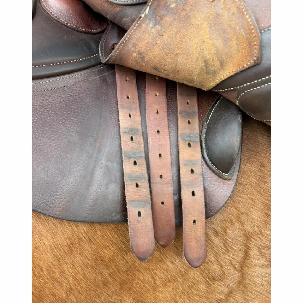 Selle*GBS Online