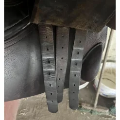GBS Selles Mixtes><noscript><img width=