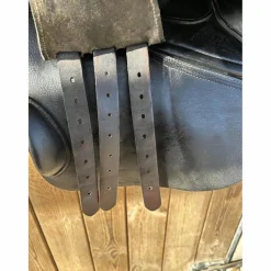 GBS Selles Mixtes><noscript><img width=