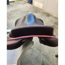 Selle*GBS Online