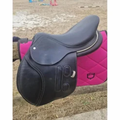 GBS Selles Mixtes><noscript><img width=