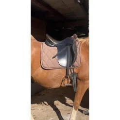 Henri de Rivel Selles De Dressage><noscript><img width=