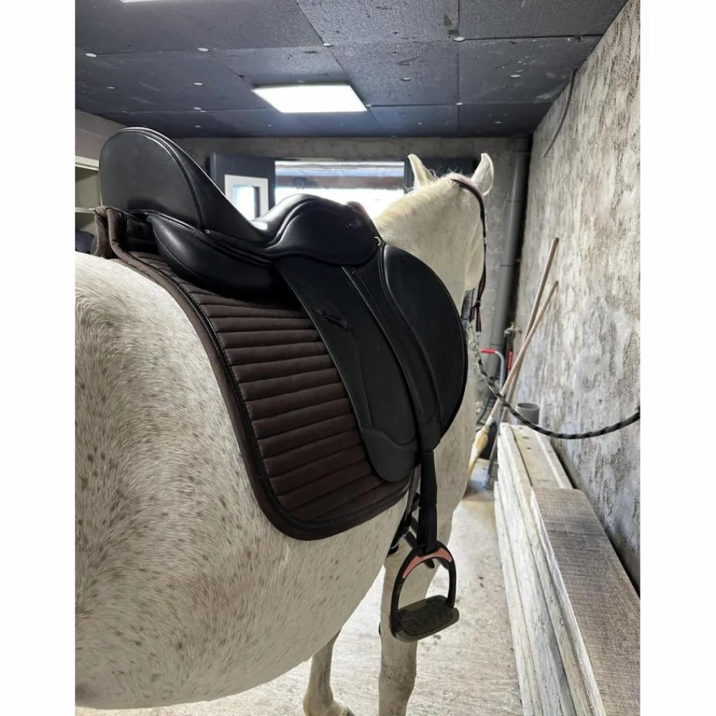 Ikonic Selles De Dressage>Selle Light