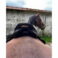 John Whitaker Selles D'Obstacle><noscript><img width=