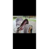 Mac Lellan Autres Selles (Amazone, Barefoot, Australienne...)>Selle