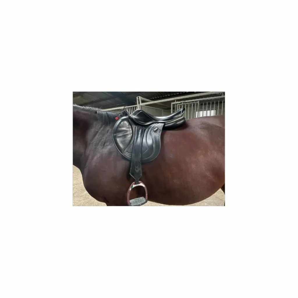 CWD Selles D'Obstacle>Selle mademoiselle taille 17’5