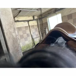selle marron de la marque baude*Sellerie Baude Clearance