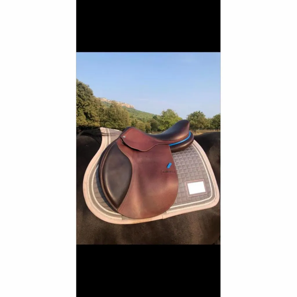 Selle mixte*GBS Best