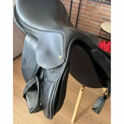 Pessoa Selles Mixtes><noscript><img width=