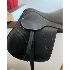 Pessoa Selles Mixtes><noscript><img width=