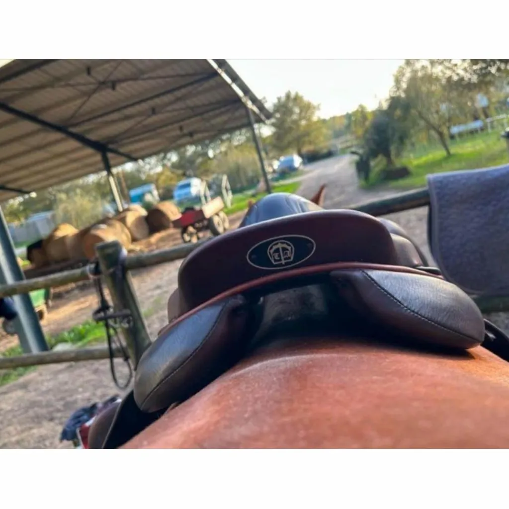 Selle monoquartier*- Marque inconnue - Online