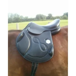Selles De Cross><noscript><img width=