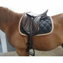 Eric Mondange Selles De Dressage><noscript><img width=