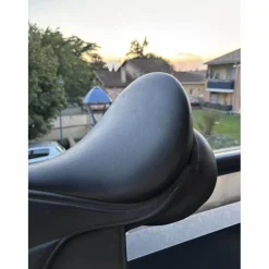 Selle Réxine*Norton Best