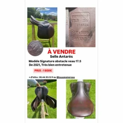 Antares Selles D'Obstacle>Selle obstacle Antarès